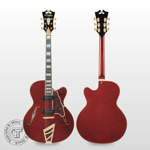 D’Angelico Excel 59 Viola